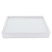 STACKABLE RING TRAY 53 CLIP-Transcontinental Tool Co